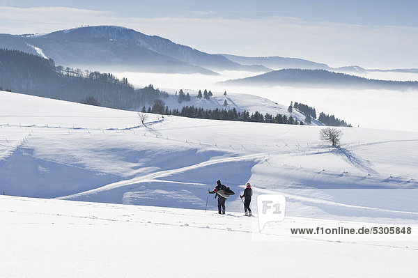 Snowshoe hikers walking on Schauinsland mountain near Freiburg im Breisgau  Black Forest mountain range  Baden-Wuerttemberg  Germany  Europe