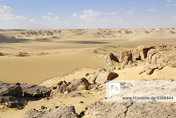 Wüstenlandschaft nahe Oase Farafra  Libysche Wüste  Ägypten  Afrika