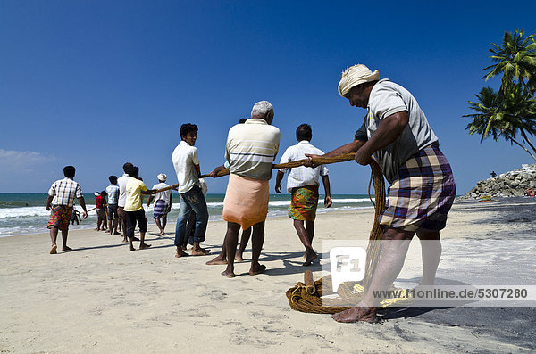 Fishermen fishing the traditional way  in a small village at the coast around Varkala  Kerala  India  Asia