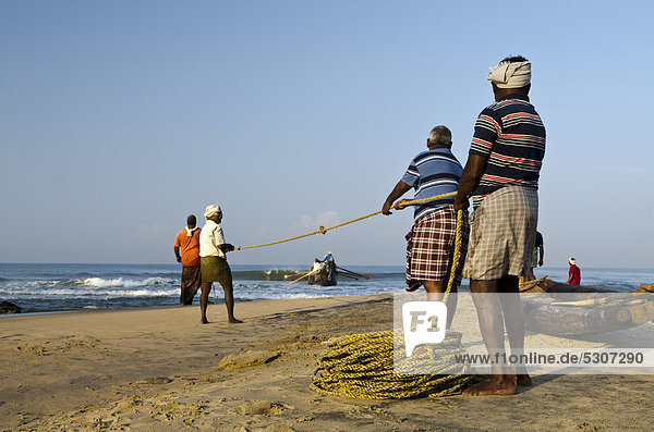Fishermen fishing the traditional way  in a small village at the coast around Varkala  Kerala  India  Asia