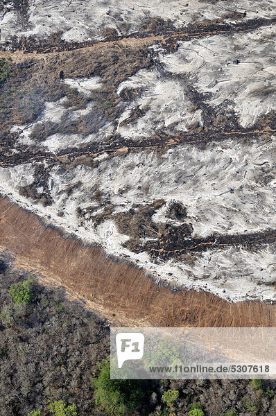 Luftaufnahme aus einer Cessna: Verbrennte Erde durch illegale Brandrodung im Gran Chaco. Stämme  Äste und Zweige des gebrochenen Waldes werden auf den zukünftigen Feldern verbrann  Salta  Argentinien  Südamerika