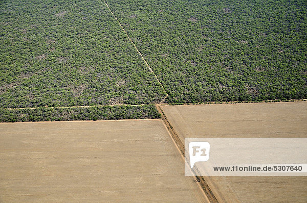 Luftaufnahme aus einer Cessna: Gerodete Fläche grenzt an den noch existierenden Chaco-Wald  Gran Chaco  Salta  Argentinien  Südamerika