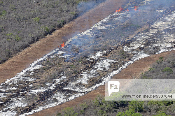 Luftaufnahme aus einer Cessna: Illegale Brandrodung im Gran Chaco. Stämme  Äste und Zweige des gebrochenen Waldes werden auf den zukünftigen Feldern verbrann  Salta  Argentinien  Südamerika
