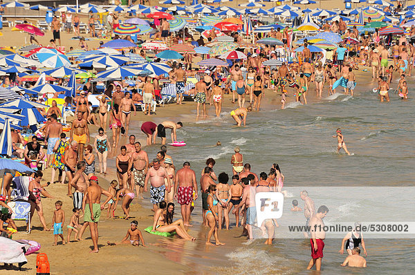 Bathers on Playa Levante beach,  mass tourism,  Benidorm,  Costa Blanca,  Spain,  Europe