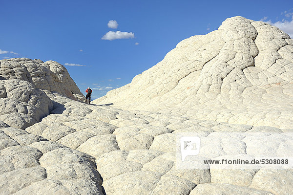 Fotograf in der Formation der White Pocket  Vermilion Cliffs National Monument  Utah  USA