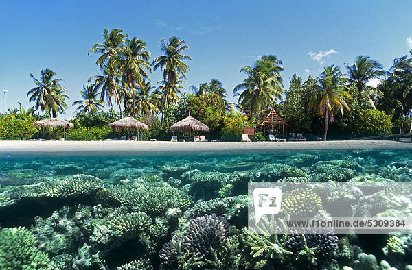 Halb-halb-Aufnahme Korallenriff mit Hartkorallen und der Strand von der Insel Mirihi Ari-Atoll Malediven Indischer Ozean Asien