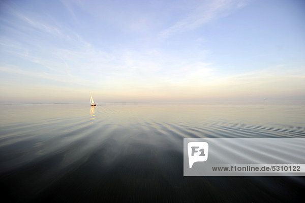 Segeln bei Flaute  Sonnenuntergang  IJsselmeer  Niederlande  Europa