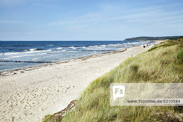 Strand an der Westküste in der Nähe von Vitte  Hiddensee  Mecklenburg-Vorpommern  Deutschland  Europa