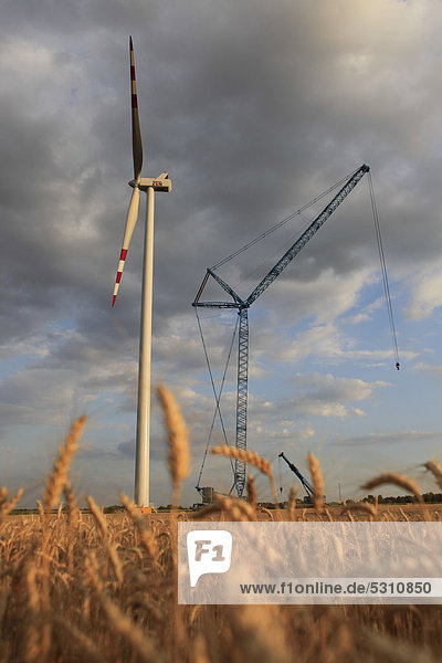 Construction of a wind turbine  Marchfeld  Lower Austria  Europe