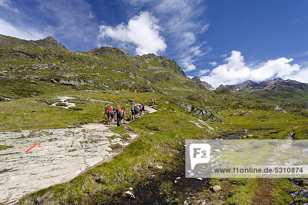 Climbers above the Timmelsalm alpine meadow  while ascending towards Mueller Hut via the Passeiertal valley from the road of Timmelsjoch Pass  Alto Adige  Italy  Europe