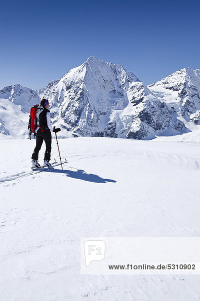 Skitourengeher beim Aufstieg zur hinteren Schöntaufspitze  Sulden im Winter  hinten die Königsspitze  Südtirol  Italien  Europa