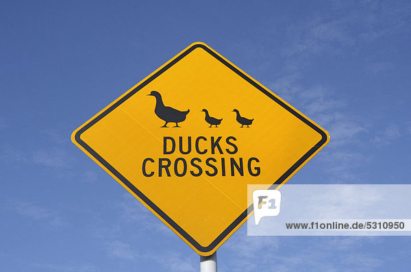 Verkehrsschild  Ducks crossing  Enten kreuzen die Fahrbahn  Neuseeland