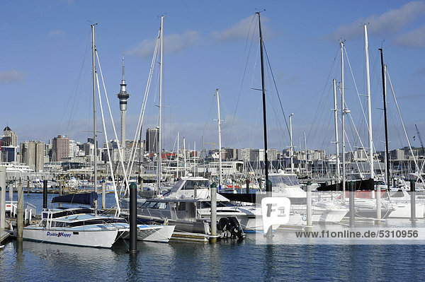 Segelboote im Westhaven Marina Yachthafen  hinten Skyline und Skytower von Auckland  Neuseeland  ÖffentlicherGrund
