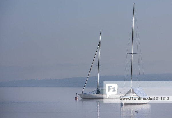 Zwei Segelboote bei leichtem Morgennebel  Dießen am Ammersee  Bayern  Deutschland  Europa