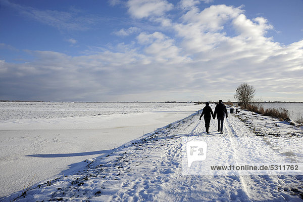 Couple walking in the snow  Reeuwijkse Plassen nature reserve in winter  landscape between Gouda and Bodegraven  Reeuwijk  Holland  The Netherlands  Europe