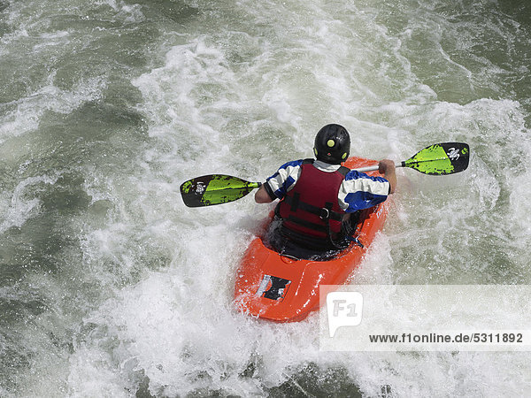 Kayaker in whitewater kayaking  Ginsheimer Altrhein  Nonnenau Island  Hesse  Germany  Europe