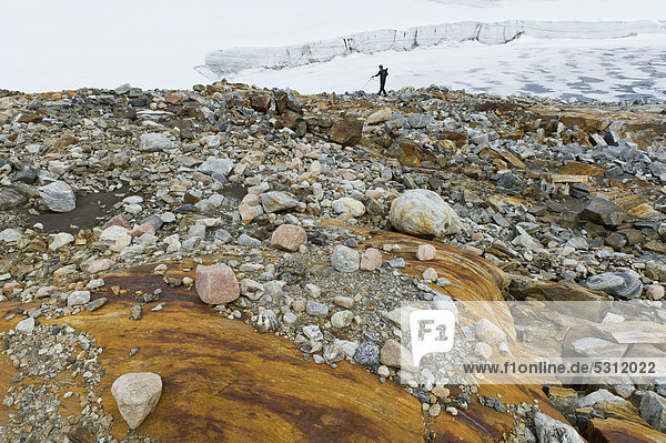 Hikers on Mittivakkat Glacier  Ammassalik peninsula  East Greenland  Greenland