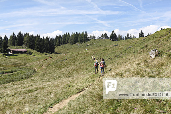 People hiking in the Bavarian Alps  Taubensee  Chiemgau  Upper Bavaria  Germany  Europe