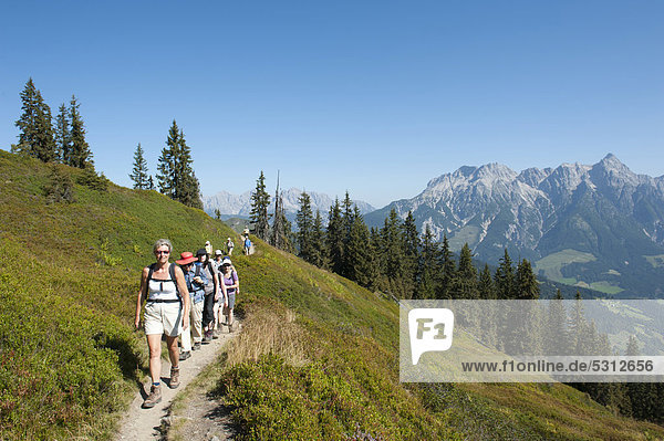 Hiking group walking along a narrow path  Northern Limestone Alps  in front of Leogang Stone Mountains  the Alps  Saalbach-Hinterglemm  Salzburg  Austria  Europe