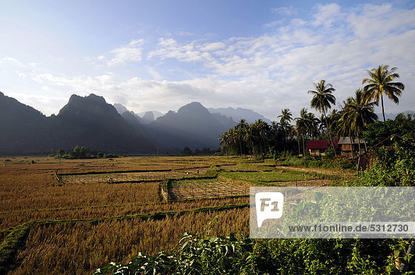 Reisfelder und Karstberge in der Nähe von Vang Vieng  Laos  Südostasien  Asien