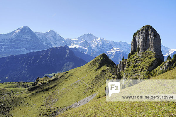 Sicht von der Schynige Platte auf Eiger  Mönch und Jungfrau  Wilderswil  Bern  Schweiz  Europa