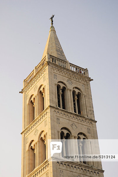 Kalksteinkirchturm der Sankt Donat Kirche  10 Jh.  Zadar  Dalmatien  Kroatien  Europa