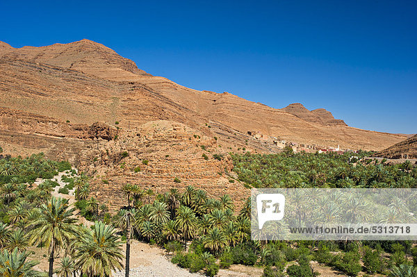 Typische Felslandschaft mit kleiner Siedlung und Palmenhain  Ait Mansour Tal  Antiatlas  Südmarokko  Marokko  Afrika