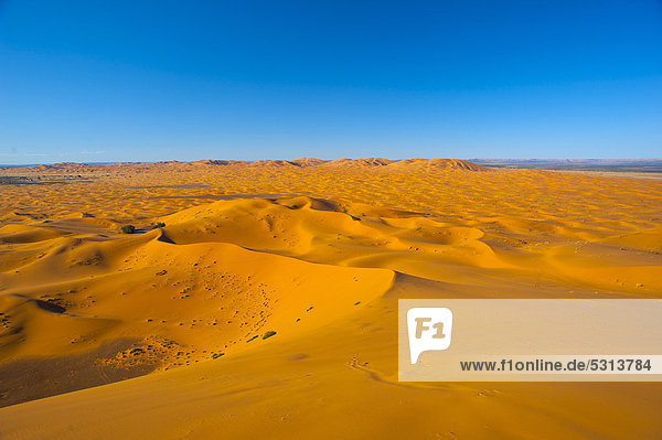 Sand dunes  Erg Chebbi  southern Morocco  Africa