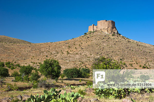 Befestigte Speicherburg  Agadir Tasguent auf einer Bergspitze  Antiatlas  Südmarokko  Marokko  Afrika