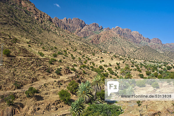 Typische Berglandschaft mit trockenem Flussbett  in dem Arganienbäume (Argania spinosa) und Dattelpalmen (Phoenix dactylifera) wachsen  Antiatlas  Südmarokko  Marokko  Afrika