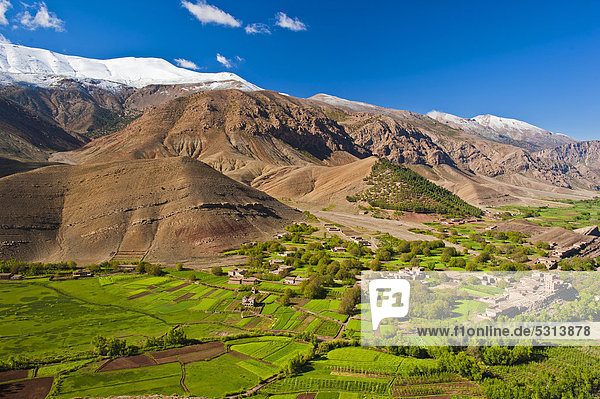 Landschaft mit bewirtschafteten Feldern und kleiner Siedlung im Ait Bouguemez Tal  Hoher Atlas  Marokko  Afrika