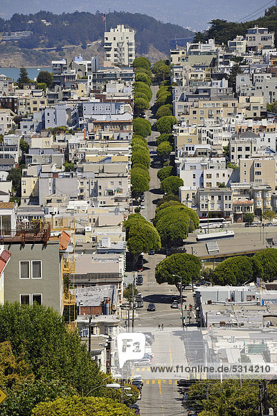 Blick von Lombard Street bis Telegraph Hill und Treasure Island  San Francisco  Kalifornien  Vereinigte Staaten von Amerika  USA  ÖffentlicherGrund