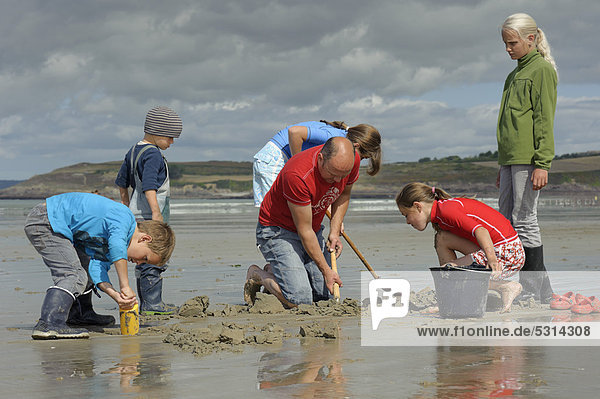 Junge Angler und ein Erwachsener beim Graben nach Wattwürmern (Arenicola marina) am Atlantikstrand  Finistere  Bretagne  Frankreich  Europa  ÖffentlicherGrund