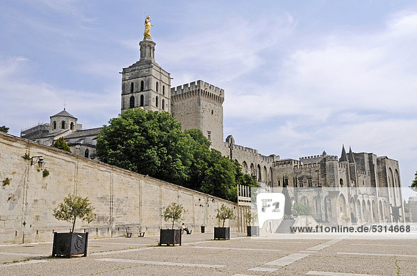 Palais des Papes  Papstpalast und Kathedrale Notre-Dame des Doms  Avignon  Provence  Südfrankreich  Frankreich  Europa
