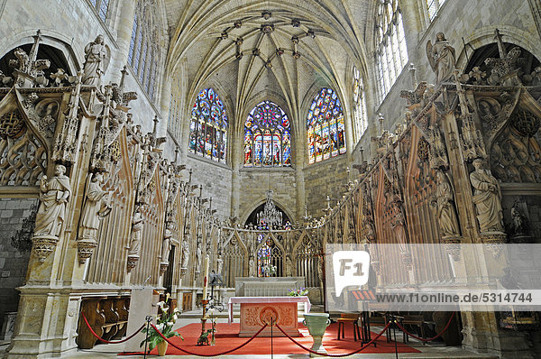 Kathedrale Saint Pierre  französischer Jakobsweg  UNESCO Weltkulturerbe  Gemeinde Condom  Departement Gers  Midi-Pyrenees  Frankreich  Europa