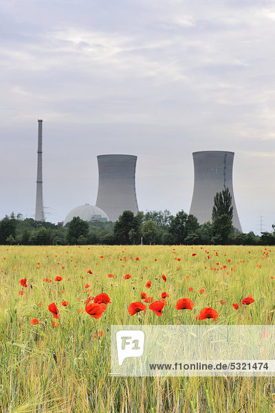 Kernkraftwerk Grafenrheinfeld  außer Betrieb  davor Getreidefeld mit Klatschmohn  Unterfranken  Bayern  Deutschland  Europa