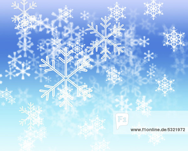 Snowflakes  illustration