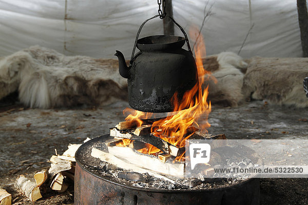 Kaffee kochen am offenen Feuer  Lappland  Schweden  Europa