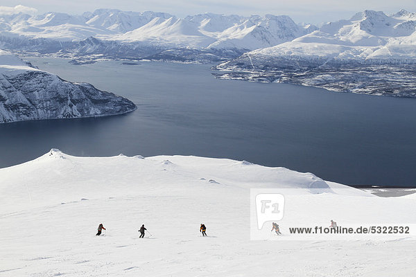 Skitourengruppe bei der Abfahrt  Schnee  Fjord  Lyngenalps  Norwegen  Europa