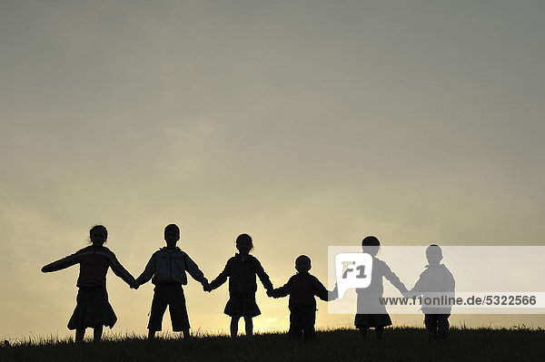 Sechs Kinder als Silhouette  spazieren über eine Wiese  halten die Hände