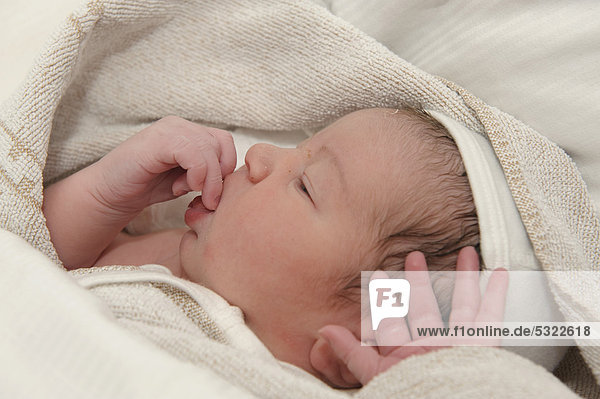 Neugeborenes Baby wenige Stunden nach der Geburt  in Kuscheltuch eingewickelt