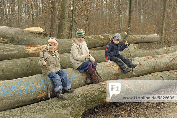 Kinder  3 bis 7 Jahre  sitzen mit Stöcken auf gefällten Baumstämmen im Wald im Frühling