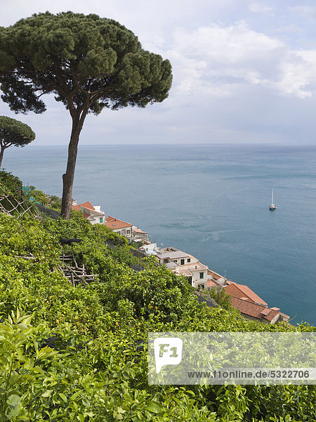 Küste von Amalfi  Costiera Amalfitana or Amalfiküste  UNESCO Weltkulturerbe  Kampanien  Italien  Europa