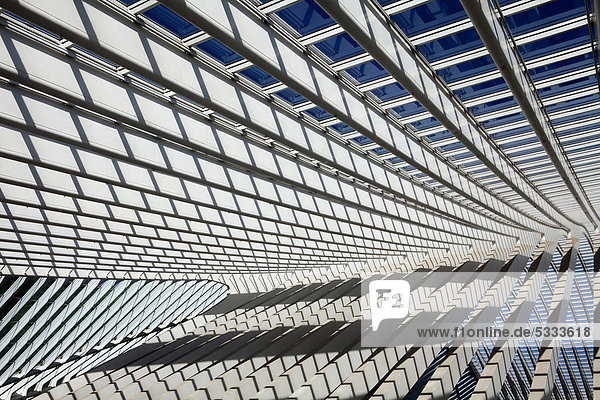 Dachdetail der Bahnhofshalle  Bahnhof Gare de LiËge-Guillemins  Architekt Santiago Calatrava  Lüttich  LiËge  Luik  Wallonien  Wallonie  Belgien  Europa
