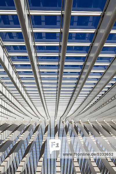 Dachdetail der Bahnhofshalle  Bahnhof Gare de LiËge-Guillemins von Architekt Santiago Calatrava  Lüttich oder LiËge oder Luik  Wallonie oder Wallonien  Belgien  Europa
