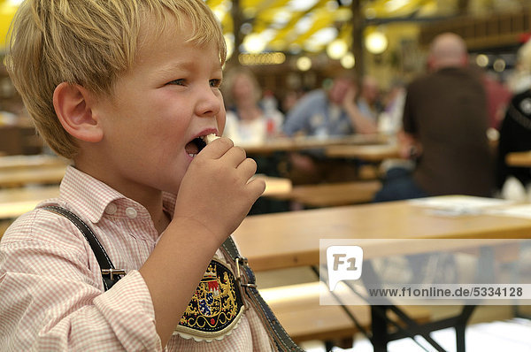 5-year old boy wearing leather pants sitting and eating in a beer tent  Oktoberfest 2010  Munich  Upper Bavaria  Bavaria  Germany  Europe