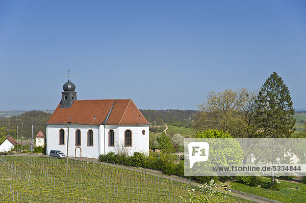 Sankt Dionysiuskapelle  Gleiszellen-Gleishorbach  Deutsche Weinstraße  Pfalz  Rheinland-Pfalz  Deutschland  Europa