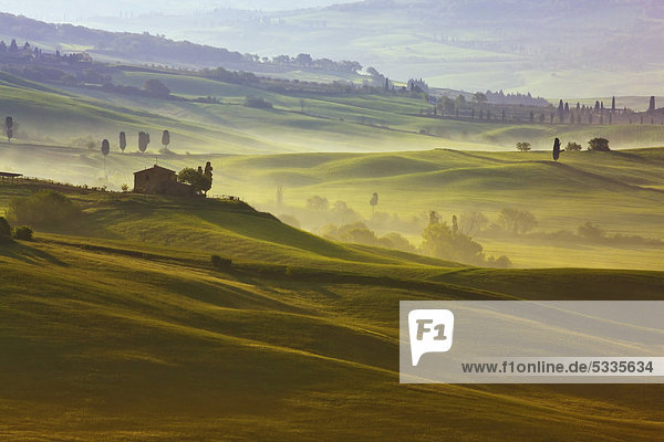 Wiesen und Felder im Morgenlicht  Pienza  Val d'Orcia  Toskana  Italien  Europa  ÖffentlicherGrund