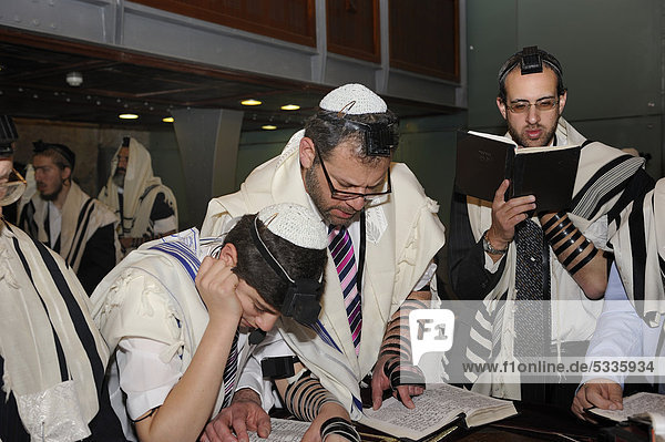 Bar Mitzvar  Jewish coming of age ritual  public reading from the books of the Prophets  Haftarah  Western Wall or Wailing Wall  Old City of Jerusalem  Arab Quarter  Jerusalem  Israel  Middle East