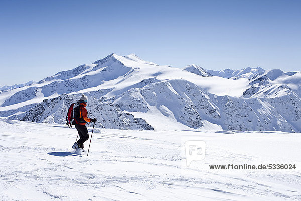 Skitourengeher beim Abstieg der hinteren Schöntaufspitze  Sulden im Winter  hinten die Zufallspitze und der Cevedale  Südtirol  Italien  Europa